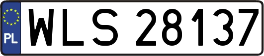 WLS28137
