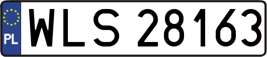 WLS28163