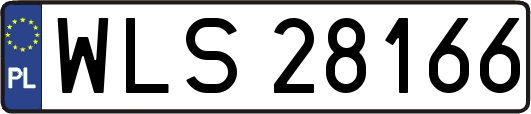 WLS28166
