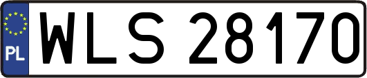 WLS28170