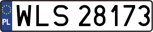 WLS28173
