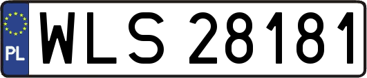WLS28181