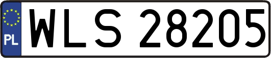 WLS28205