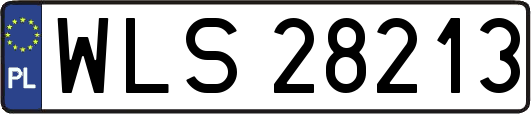 WLS28213