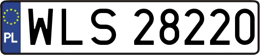 WLS28220