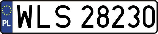 WLS28230