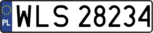 WLS28234