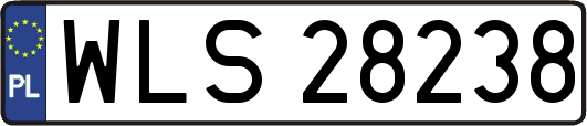 WLS28238