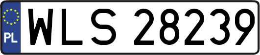 WLS28239