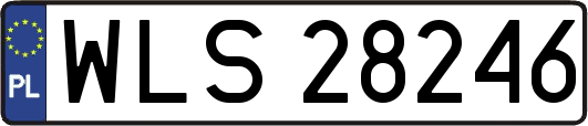 WLS28246