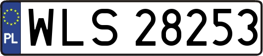 WLS28253