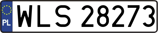 WLS28273