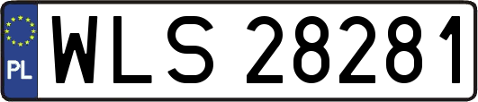 WLS28281