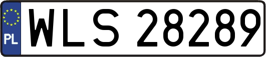 WLS28289