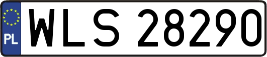 WLS28290