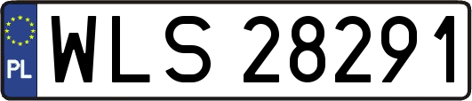 WLS28291
