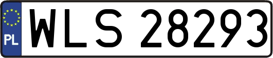 WLS28293