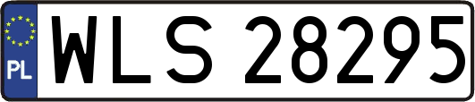 WLS28295