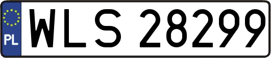 WLS28299