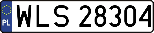 WLS28304