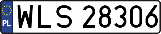 WLS28306
