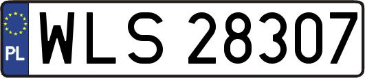 WLS28307