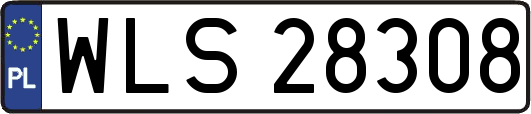 WLS28308