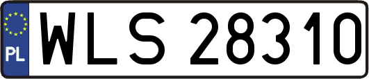 WLS28310