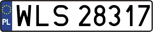 WLS28317