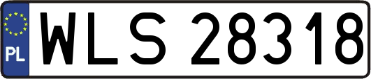 WLS28318