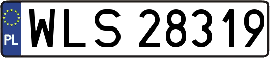 WLS28319