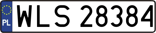 WLS28384