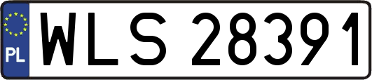 WLS28391