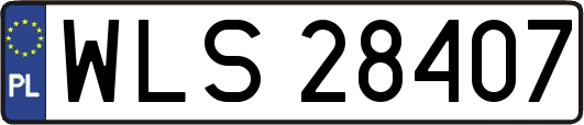 WLS28407