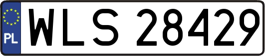 WLS28429