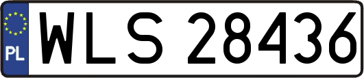 WLS28436