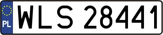 WLS28441