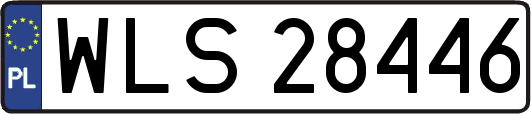 WLS28446