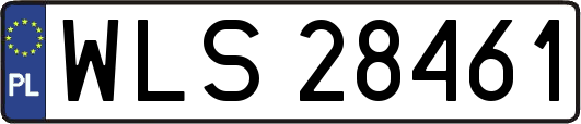 WLS28461