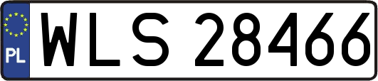 WLS28466