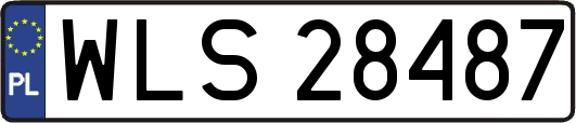 WLS28487