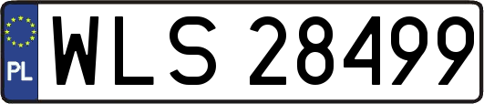 WLS28499