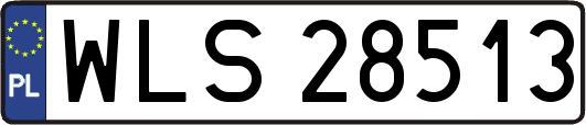 WLS28513