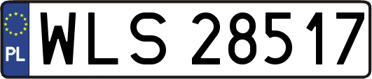 WLS28517