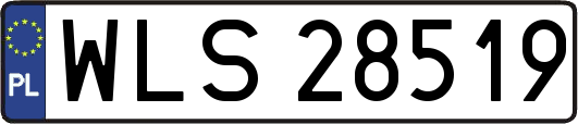 WLS28519