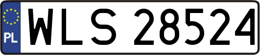 WLS28524
