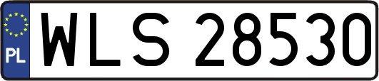 WLS28530