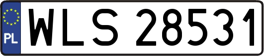 WLS28531