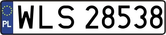 WLS28538
