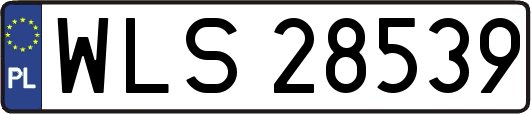 WLS28539